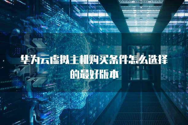 如何選擇最適合個人互聯網服務的虛擬主機購買條件與設置指南