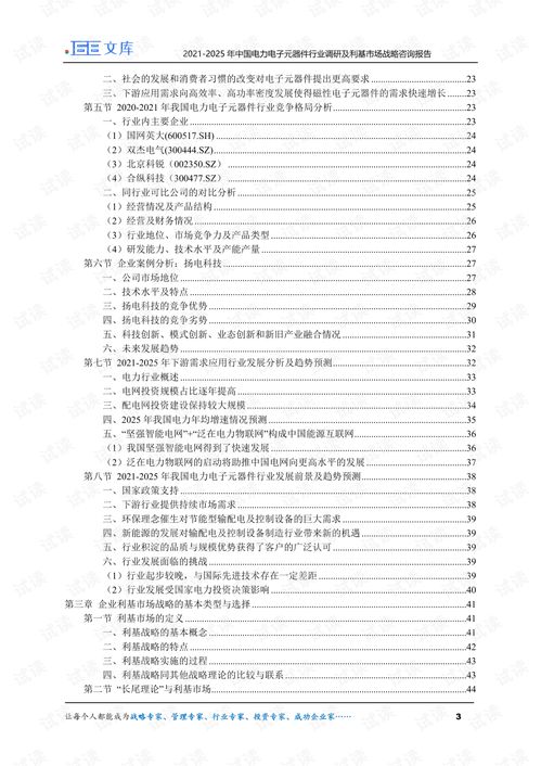 2021 2025年中國(guó)電力電子元器件行業(yè)調(diào)研及利基市場(chǎng)戰(zhàn)略咨詢報(bào)告.pdf